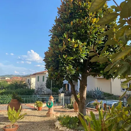 Magnolia Mercatale Val Di Pesa
