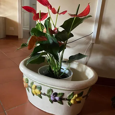 Apartmán Magnolia Mercatale Val Di Pesa