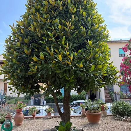 Apartman Magnolia